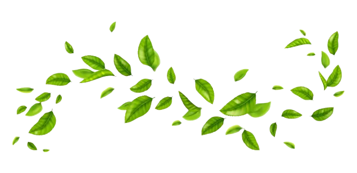 Tea leaves decoration