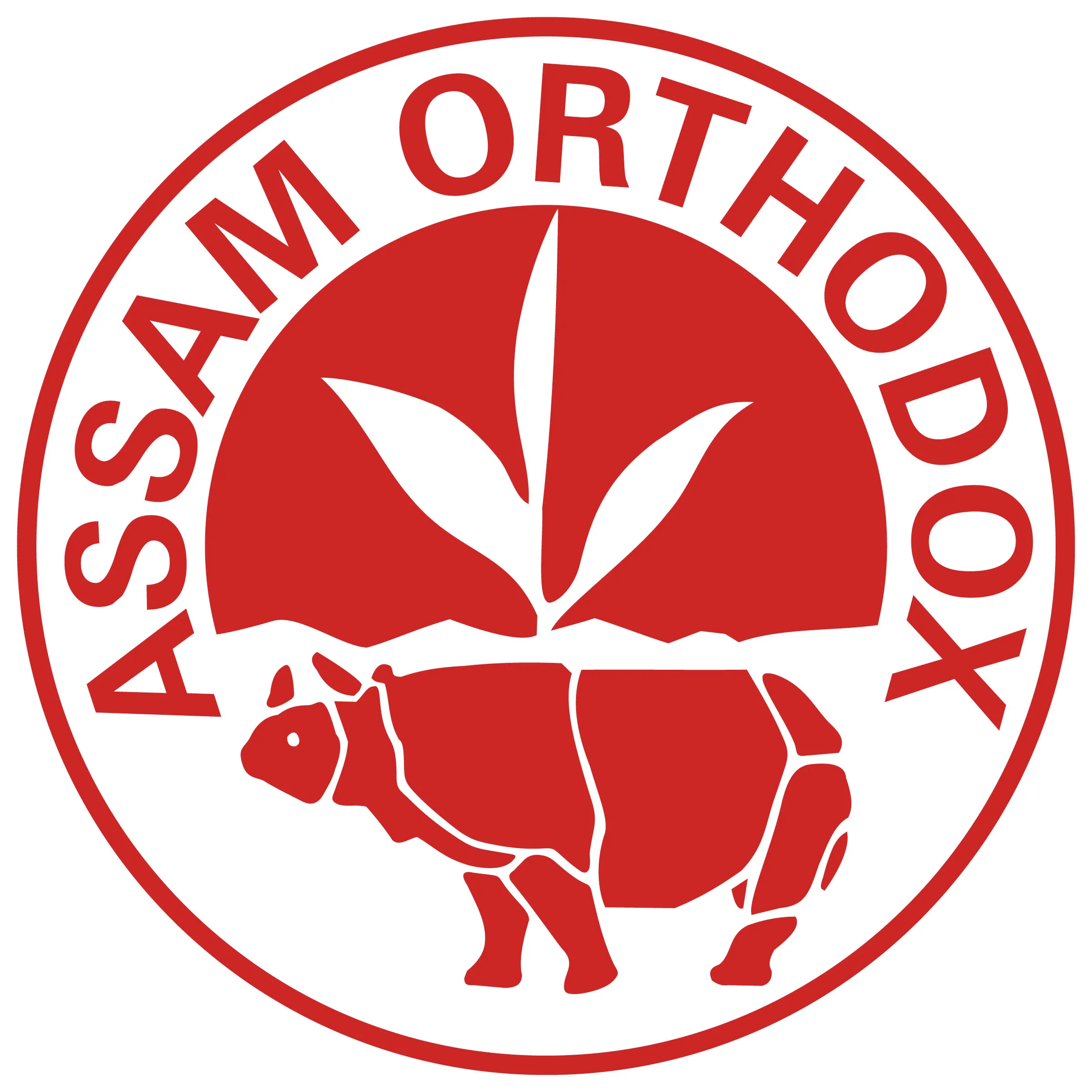 Sponsor Logo
