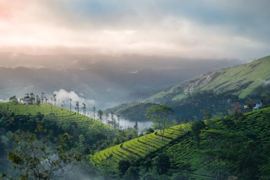 wayanad