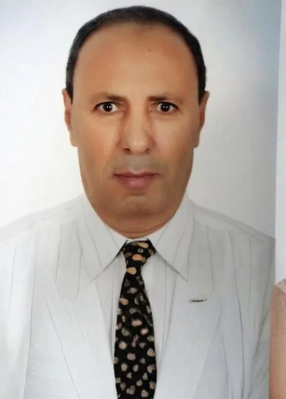 Mr. Mohamed R. Heiza