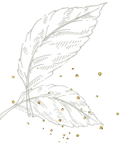 Tea leaves decoration