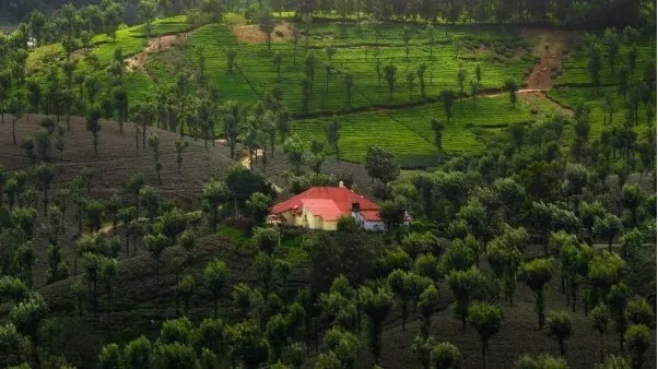 Valparai